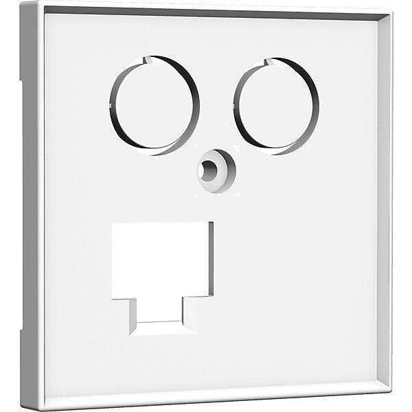 homeway Zentralplatte 55x55mm rws TV+LAN 55x55